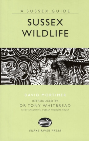 Sussex Wildlife - David Mortimer