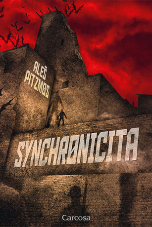 Synchronicita - Aleš Pitzmos