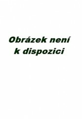 Teta Jana vypráví o andělské lenosti - neuveden