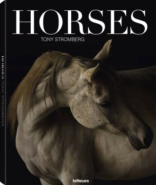 Tony Stromberg: Horses - Stromberg