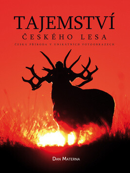 Tajemství českého lesa - Dan Materna