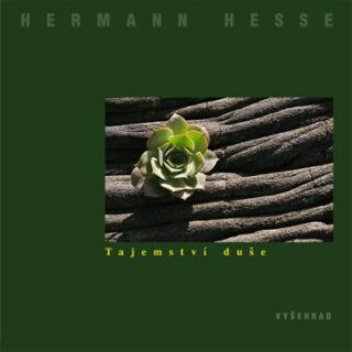 Tajemství duše - Hermann Hesse