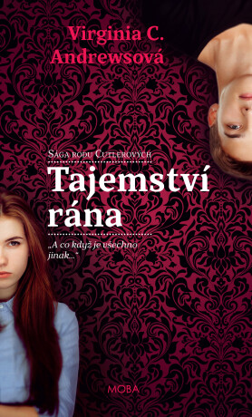 Tajemství rána - Virginia C. Andrewsová