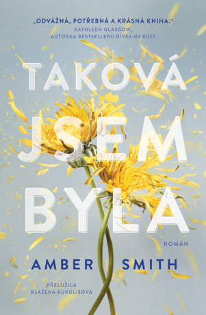 Taková jsem byla - Amber Smith