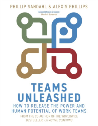 Teams Unleashed - Phillip Sandahl,Alexis Phillips