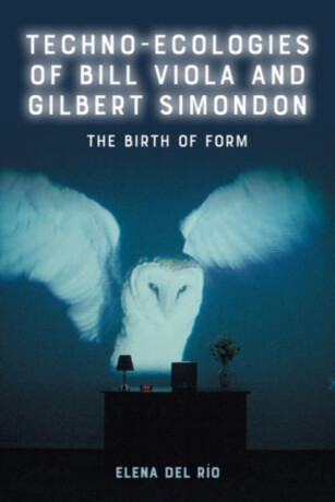 Techno-Ecologies of Bill Viola and Gilbert Simondon - Elena  del Rio