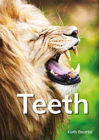 Teeth - Kath Beattie