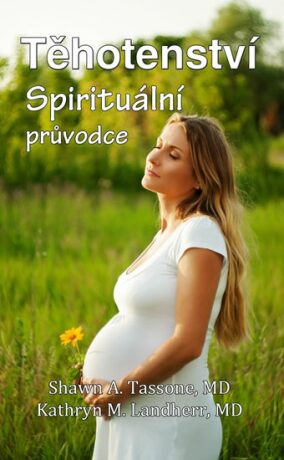 Těhotenství Spirituální průvodce - Tassone Shawn,Kathryn Landherr