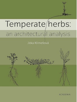 Temperate herbs - Jitka Klimešová