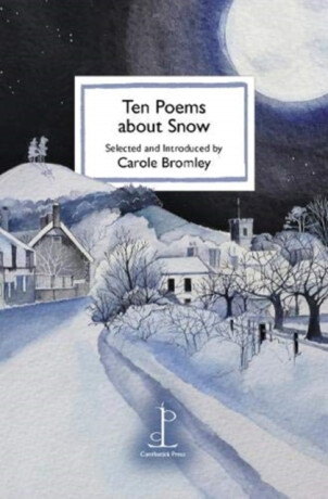 Ten Poems about Snow - 