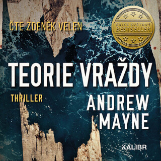 Teorie vraždy - Andrew Mayne