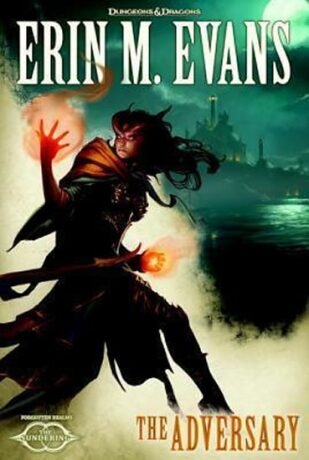 The Adversary - Evans Erin M.