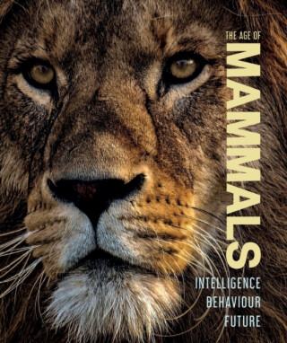 The Age of Mammals - Jamie Collins