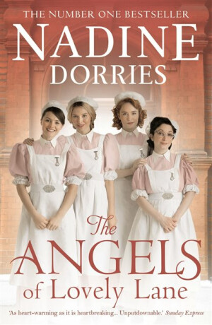 The Angels of Lovely Lane - Nadine Dorries