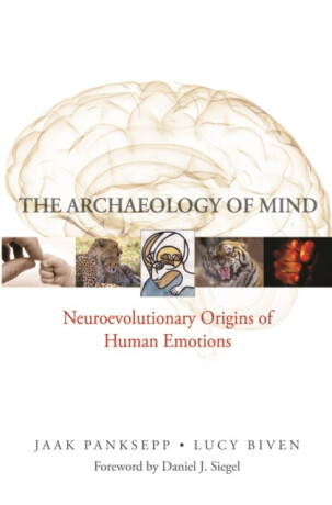 The Archaeology of Mind - Jaak  Panksepp,Lucy Biven
