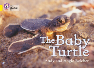 The Baby Turtle - Andy Belcher,Angie Belcher