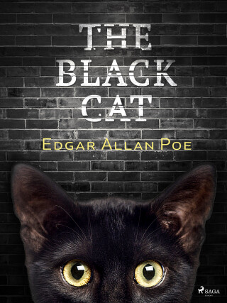 The Black Cat - Edgar Allan Poe