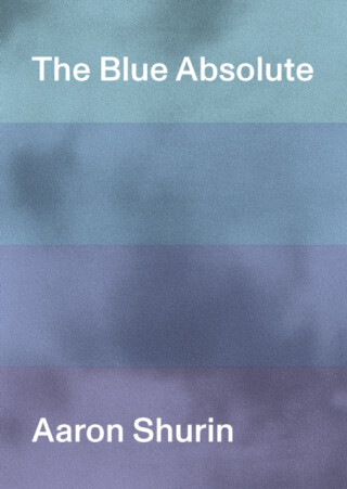 The Blue Absolute - Aaron Shurin