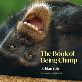 The Book of Being Chimp - Adrian Cale