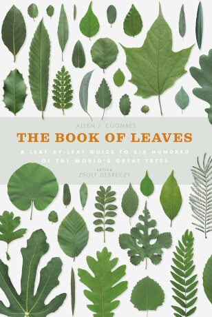 The Book of Leaves: A leaf-by-leaf guide to six hundred of the world's great trees - Allen Coombes