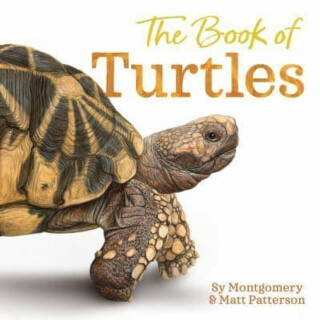 The Book of Turtles - Sy Montgomeryová