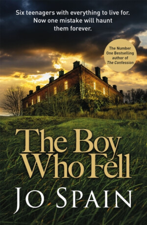 The Boy Who Fell - Jo Spain