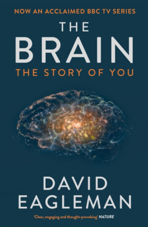 The Brain - David Eagleman