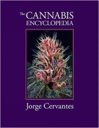 The Cannabis Encyclopedia - Jorge Cervantes