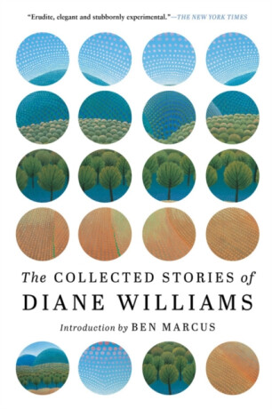 The Collected Stories of Diane Williams - Diane Williams