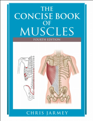 The Concise Book of Muscles - Chris Jarmey