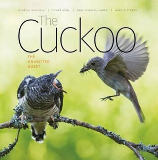 The Cuckoo: The Uninvited Guest - Stoke Bard G.