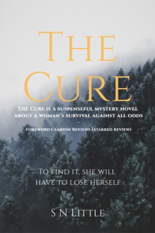 The Cure - Stephen Little