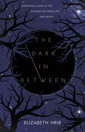The Dark In-Between - Elizabeth Hrib