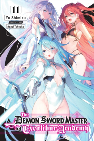 The Demon Sword Master of Excalibur Academy, Vol. 4 (light novel) - Yu Shimizu,Asagi Tohsaka
