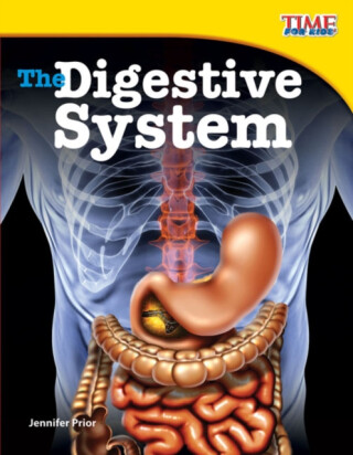 The Digestive System - Jennifer Prior