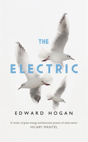 The Electric - Edward Hogan