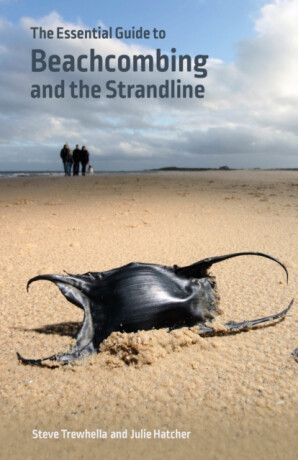 The Essential Guide to Beachcombing and the Strandline - Julie Hatcher,Steve Trewhella