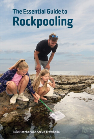 The Essential Guide to Rockpooling - Julie Hatcher,Steve Trewhella