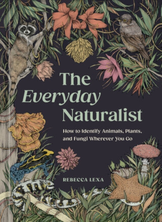 The Everyday Naturalist - Rebecca Lexa,Ricardo Macia Lalinde