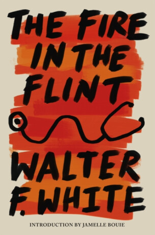 The Fire in the Flint - Walter F. White