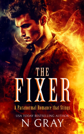 The Fixer - N Gray
