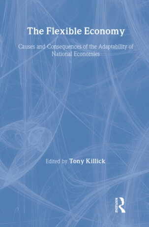 The Flexible Economy - Tony  Killick