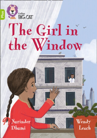 The Girl in the Window - Dhami Narinder