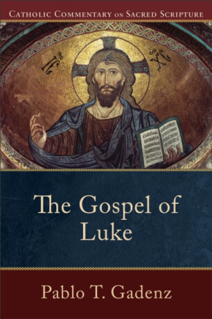 The Gospel of Luke - Peter Williamson,Mary Healy,Pablo T. Gadenz
