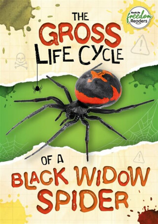 The Gross Life Cycle of a Black Widow Spider - Anthony William