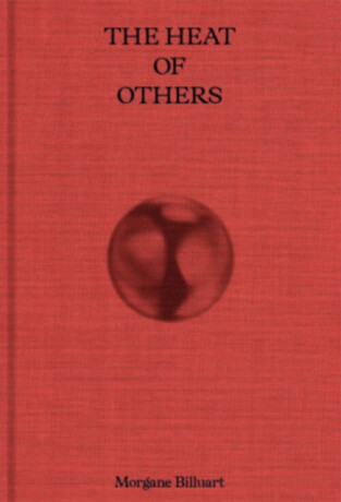 the Heat of Others - Morgane Billuart