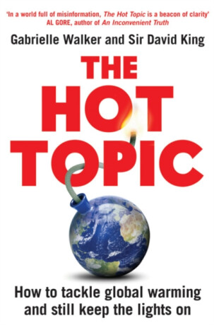 The Hot Topic - David King,Gabrielle Walker