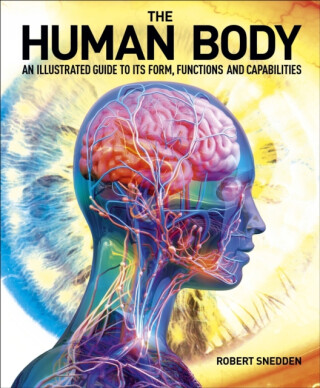 The Human Body - Snedden Robert
