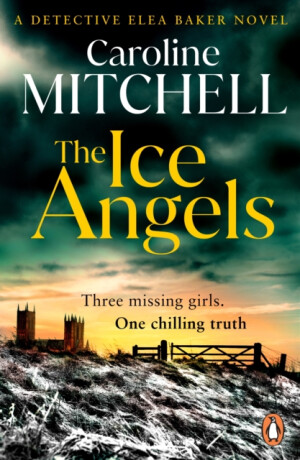 The Ice Angels - Caroline Mitchell