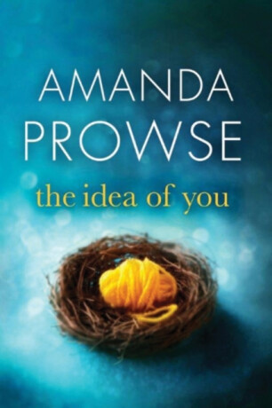 The Idea of You - Amanda Prowseová